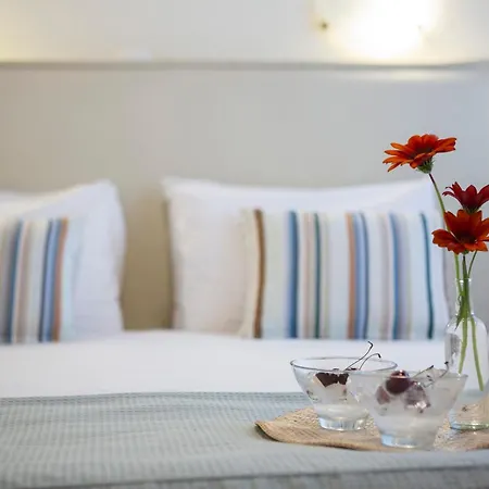 Anlys Vila Nydri (Lefkada)