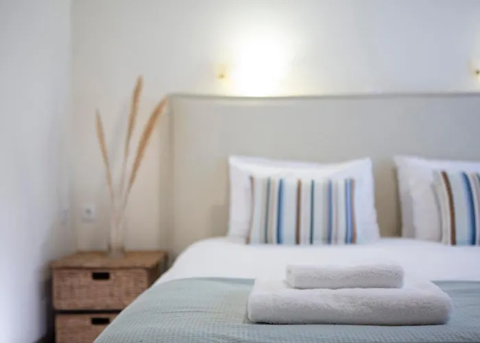 Anlys فيلة نيدري